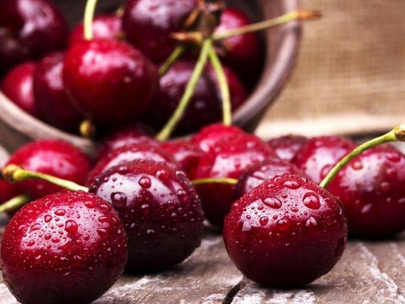 Вишня купить саженцы из питомника в Кизляре